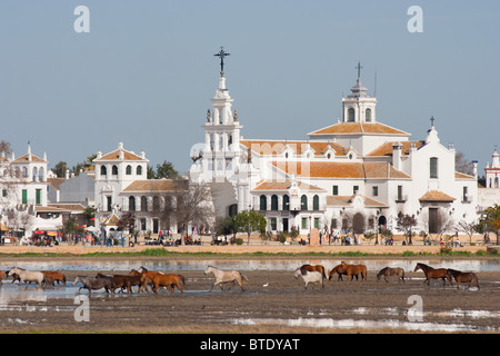 Horses in the marshes in front of the Village of El Rocio, Huelva, Spain Stock Photo