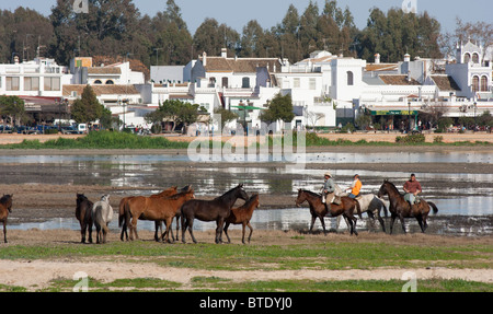 Horses in the marshes in front of the Village of El Rocio, Huelva, Spain Stock Photo