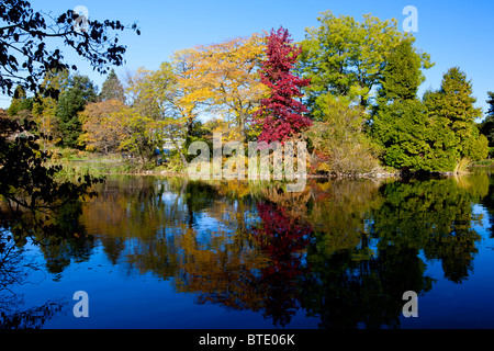 Autumn colours at the lake in Botanical Garden in Copenhagen Stock Photo
