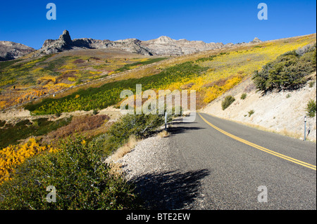 Fall colors on aspen trees, Bishop Creek, Eastern Sierra, near Bishop ...