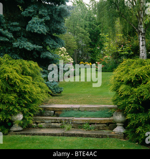 Conifers and shrubs on either side of wide stone steps in large country ...