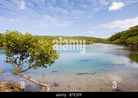 Coastal estuary on the Port Hacking River, Royal National Park, Sydney, Australia Stock Photo