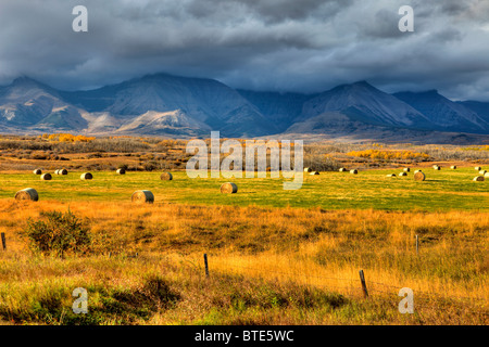 Prairies meet the Rocky Mountains, near Waterton Lakes National Park, Alberta, Canada Stock Photo