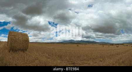 A bale of hay with storm clouds gathering overhead Stock Photo