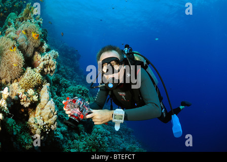 Scuba diver holding a camera in the Red Sea Stock Photo