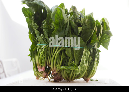 Bunch of fresh spinach
