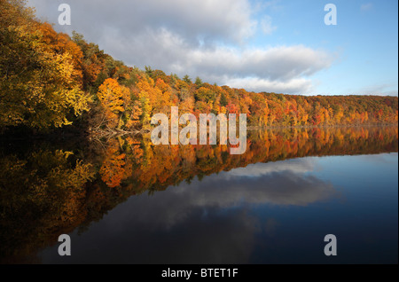 Autumn foliage on the Connecticut River in Northfield, Massachusetts