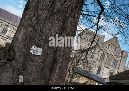 view of winchester cathedral in hampshire england with keep of the grass sign on old tree Stock Photo