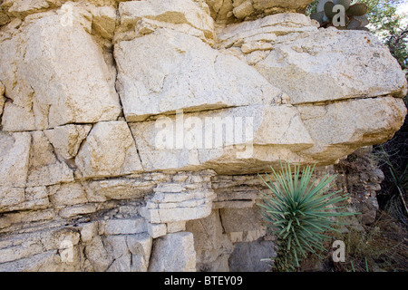 Monzogranite rock showing its layers - California USA Stock Photo