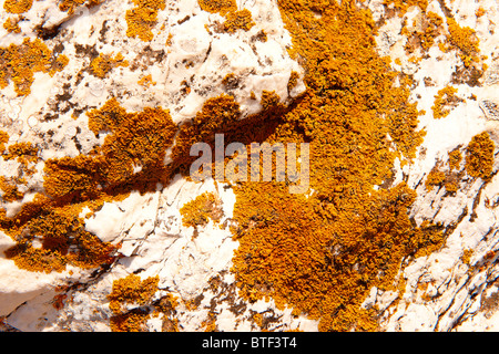 full frame image of natural stone for textured background Stock Photo