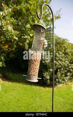 peanut filled wire meshed bird garden feeder with fat ball cage hanging on an iron crook with green trees and lawn Stock Photo
