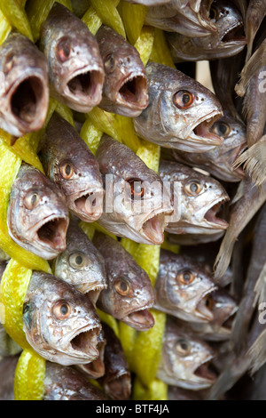 Dried Fish at Market Seoul South Korea Stock Photo