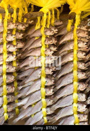 Dried Fish at Market Seoul South Korea Stock Photo