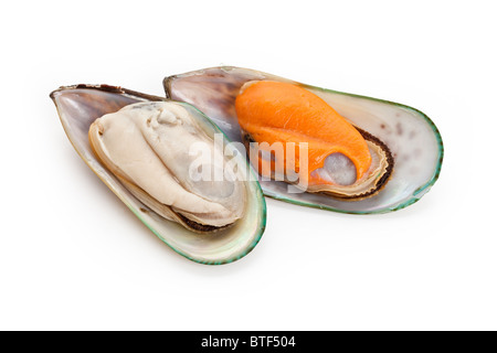 Raw Mussel with white background Stock Photo