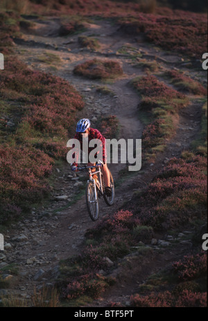 Mountain biking in the Peak District Stock Photo