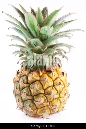 Ripe pineapple with rich green rosette. Isolated on a white. Stock Photo