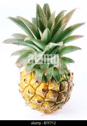 Ripe pineapple with rich green rosette. Isolated on a white. Shot made from top. Stock Photo