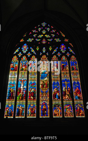 Stained glass window depicting Adam and Eve in the Cathedral of Stock ...