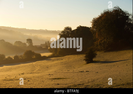 Early morning view across the valley from Whiteshill, near Stroud, Gloucestershire, England Stock Photo