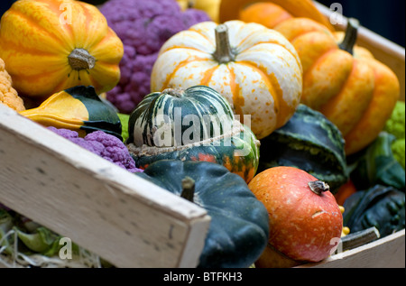 colourful gourds in wooden box Stock Photo