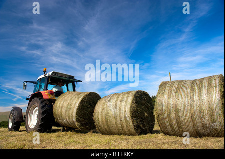 Farmer making a line of round silage bales in preperation for them being wrapped. Stock Photo