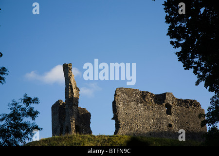 Okehampton Castle, Devon Stock Photo