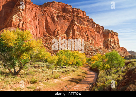 Fremont river in autumn flowing through the Fruita orchard section of Capitol Reef National Park in southern Utah Stock Photo