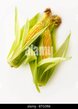 Fresh whole sweetcorn cobs Stock Photo