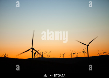 Dawn over Whitlee wind farm south of Glasgow, Scotland, UK, is Europes largest onshore wind farm with 140 turbines. Stock Photo