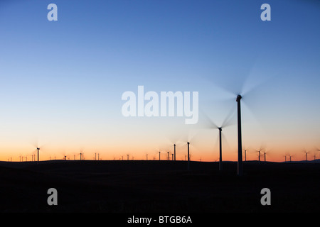 Dawn over Whitlee wind farm south of Glasgow, Scotland, UK, is Europes largest onshore wind farm with 140 turbines. Stock Photo