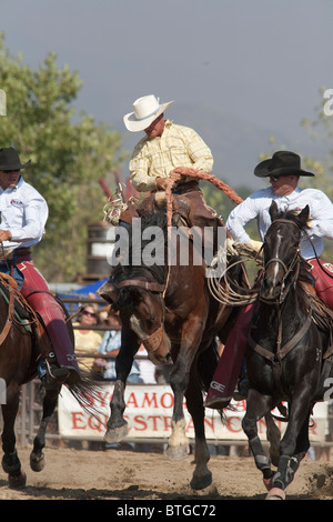 Unidentified cowboy competes in the Saddle Bronc event at the San Dimas Rodeo in San Dimas on October 2, 2010 Stock Photo