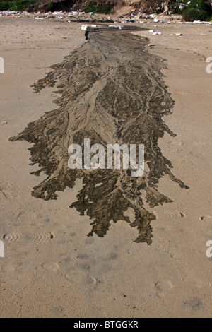 A artistic picture of a tree drawn on the wet sand by the running water. Stock Photo