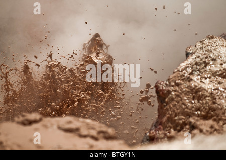 Mud Geyser in National Park Stock Photo
