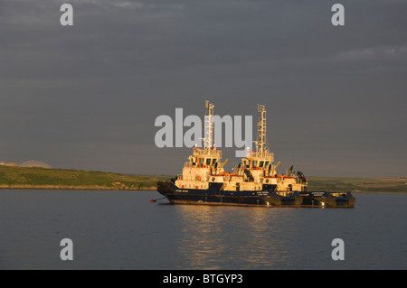 Tugs, Milford Haven, Pembrokeshire, Wales, UK, Europe Stock Photo