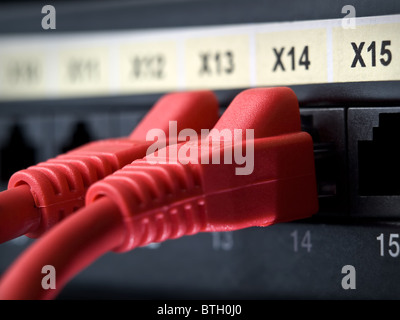 closeup shot of network cables plugged into the switch sockets , shallow DOF Stock Photo