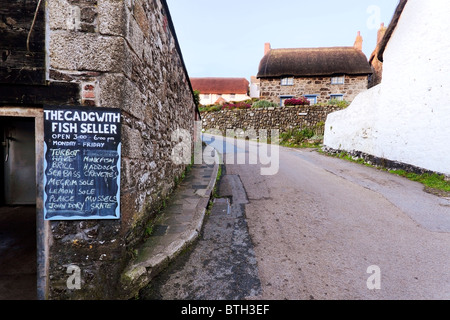 A fisherman's hut advertises fresh fish for sale at working fishing village Cadgwith Cove on the Lizard Peninsula of Cornwall Stock Photo