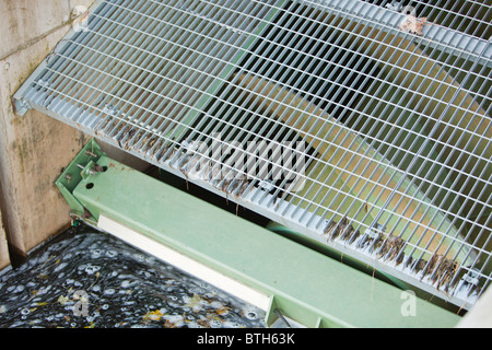 The settle hydro scheme is a small scale hydro project that is owned by a community provident project Stock Photo