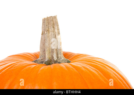 top of big orange pumpkin isolated on white background Stock Photo