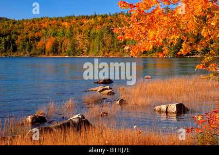 Autumn colors over Eagle Pond in Acadia National Park, Maine USA Stock Photo
