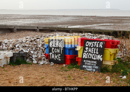 Sign for shell recycling on the beach. Stock Photo