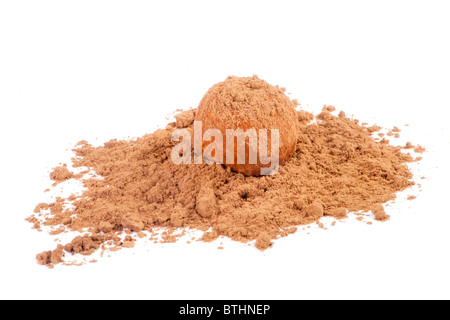 Chocolate truffle candy in cocoa powder isolated on white Stock Photo