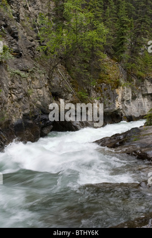 maligne river and canyon, Banff national park, Alberta, Canada Stock ...