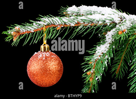 Golden ball on a Christmas tree branch isolated on black Stock Photo