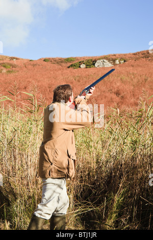 man pheasant aiming shotgun shoot bird game flying over focused reeds alamy similar