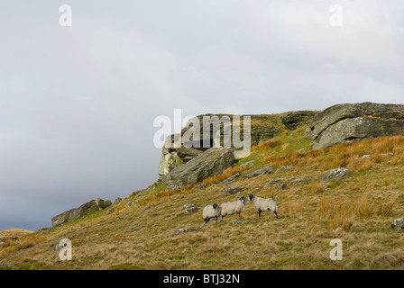 Goldsborough Rocks, Baldersdale, County Durham, England UK Stock Photo