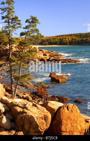 Coastline of Acadia National Park, Maine USA Stock Photo