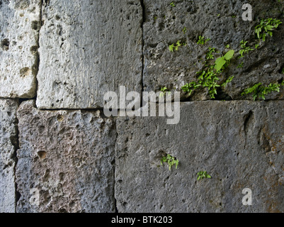 Carved Stone Blocks of Zakimi Castle Okinawa. UNESCO world heritage site Stock Photo