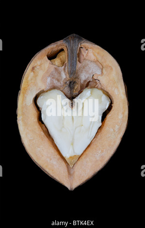 walnut with shape of heart Stock Photo