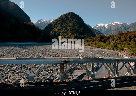 Rata Trees,Waiho River,Near Franz Josef,Westland National Park,South Island,New Zealand Stock Photo