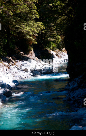 Blue Pools,Blue & Makarora River,Sh 6,8km Makarora,Haast Pass,Haast River,South Island,New Zealand Stock Photo